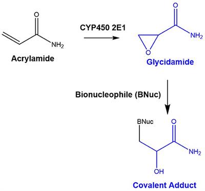 A Metabolomics-Inspired Strategy for the Identification of Protein Covalent Modifications